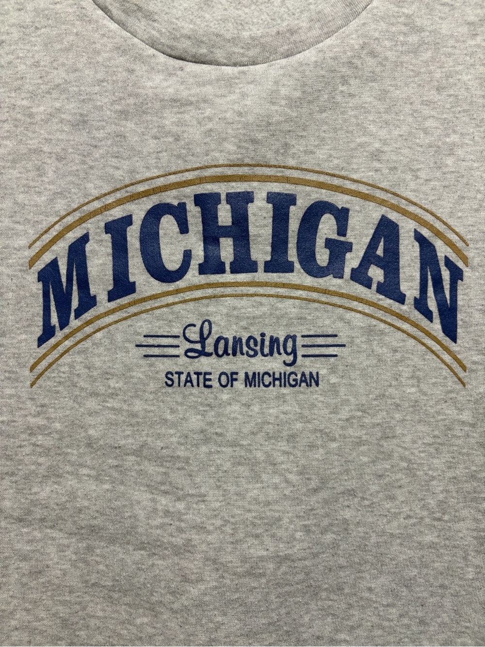 Michigan Lansing STATE OF Michigan  Graphic Crewneck Sweatshirt M